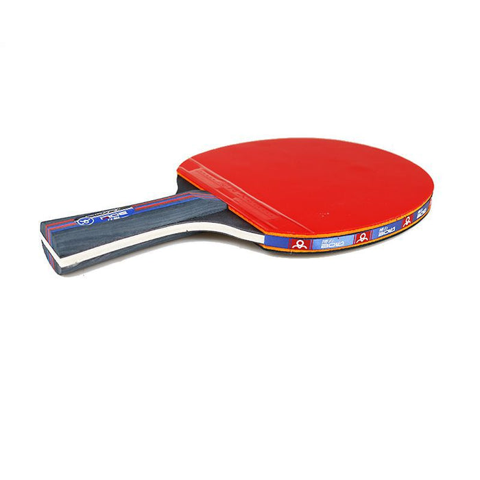 Set di racchette da ping pong