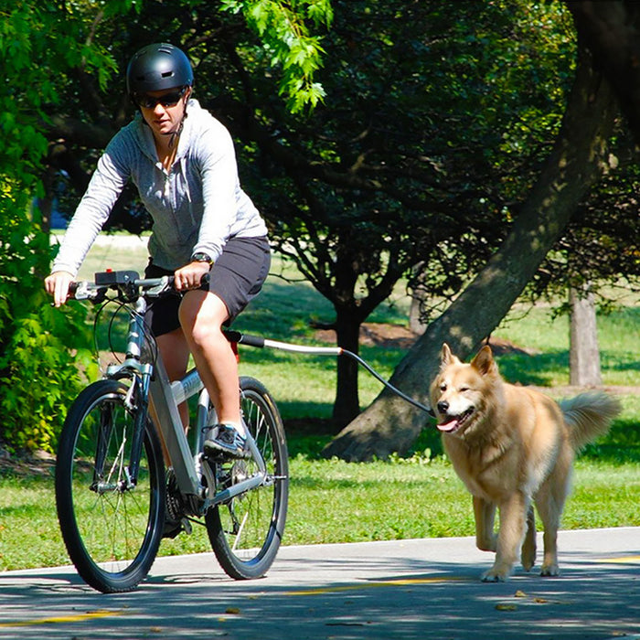 Laisse de vélo en acier inoxydable pour chiens de compagnie