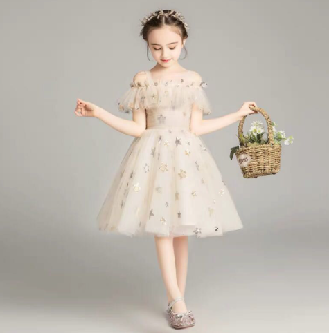 Princess Dress Girl Puffy Flower Piano Costumes